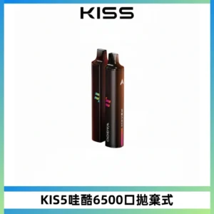 KIS5WAGOO哇酷6500口拋棄式 | 自由混搭雙口味 | 雙芯組合
